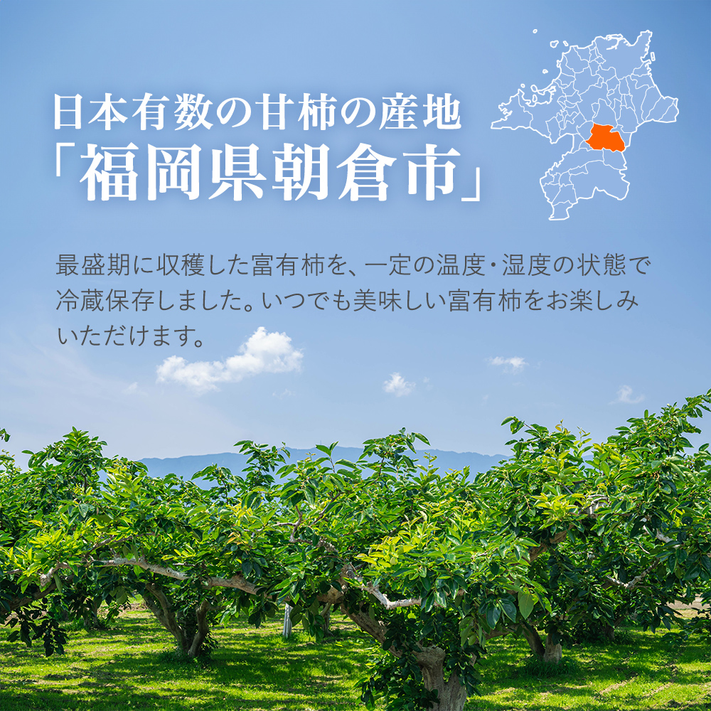 柿 冷蔵柿 10～16玉 (約3～4kg) フルーツの里の直売所より 冷蔵富有柿 果物類 かき ※配送不可：北海道・東北・沖縄・離島