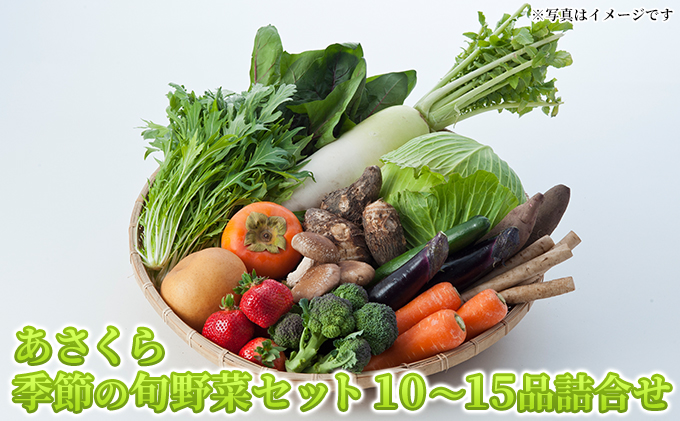 野菜セット おまかせ 10～15種 旬 朝倉市産 着日指定不可 配送不可 離島 詰合せ 