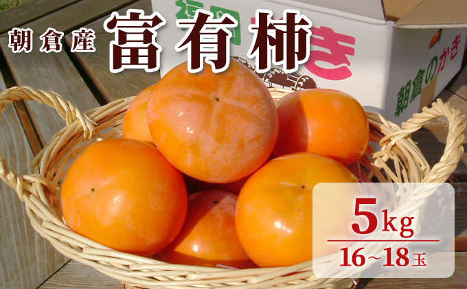柿 富有柿 朝倉産 5kg 16玉～18玉 朝倉りんご園 果物類 かき 