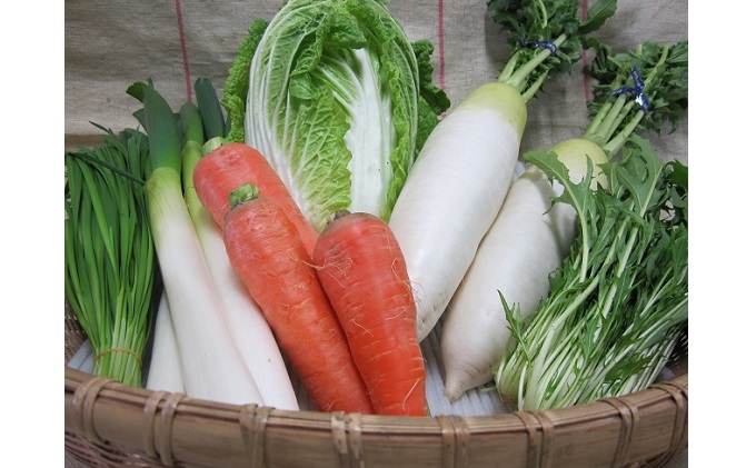野菜セット おまかせ 10～15種 旬 朝倉市産 着日指定不可 配送不可 離島 詰合せ 