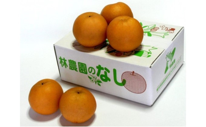 梨 朝倉産 旬の梨 約2.5kg 林農園 配送不可 離島 ナシ 果物 フルーツ 減農薬栽培 