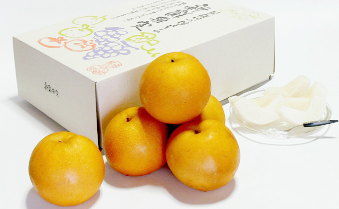 梨 朝倉産 旬の梨 約3kg 林農園 配送不可 離島 ナシ 果物 フルーツ 先行予約 