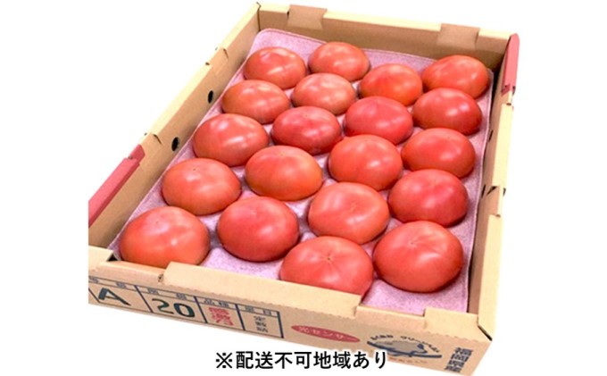 2022年発送】福岡県 朝倉市産「とまと 感激73」＜筑前あさくら農協