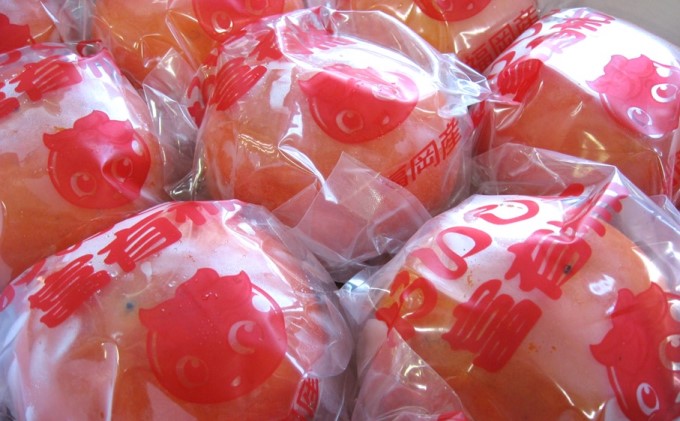 柿 冷蔵柿 11～12玉 ファームステーションバサロ 果物類 かき 