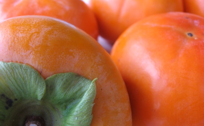 yqsz` xL` 11`12 t@[Xe[VoT ʕ 