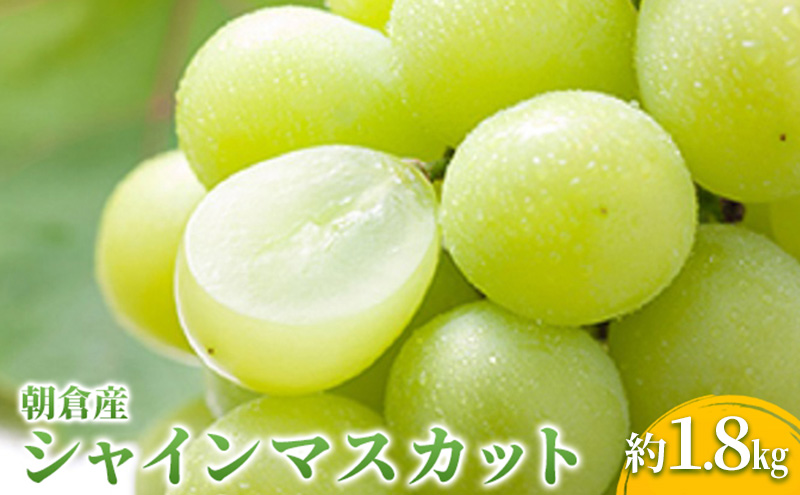 yqszVC}XJbg }XJbg Ԃǂ 1.8kg 2026N   uhE t[c ʕ  fU[g }O_ zs 