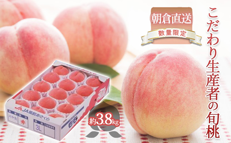 福岡県朝倉市のふるさと納税 限定 数量 桃 もも モモ 3.8kg 2025年 発送 フルーツ 果物 くだもの デザート 筑前あさくら農協 オンライン決済限定 配送不可 離島