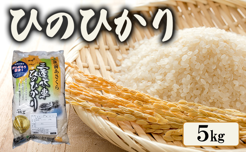 yqsz Ђ̂Ђ 5kg }O_  qmqJ