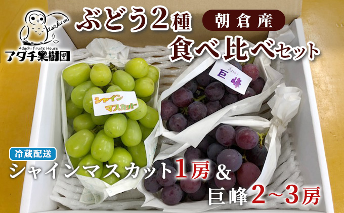 シャインマスカット 1房 巨峰 2～3房 ぶどう 食べ比べ セット 2種類 配送不可 離島 フルーツ 果物類 高級フルーツ 