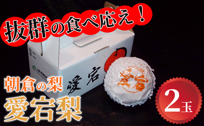 【福岡県朝倉市】梨 愛宕 2玉×1 筑前あさくら農協 配送不可 離島 ナシ 果物 フルーツ 先行予約