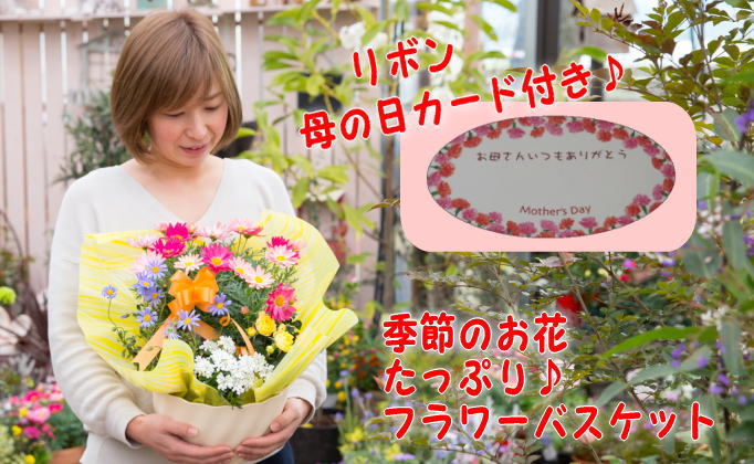 【母の日 ギフト】季節のフラワーバスケット【白鉢】（オンライン決済限定） 花 