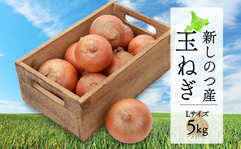 北海道 新しのつ産 玉ねぎ Lサイズ 約5