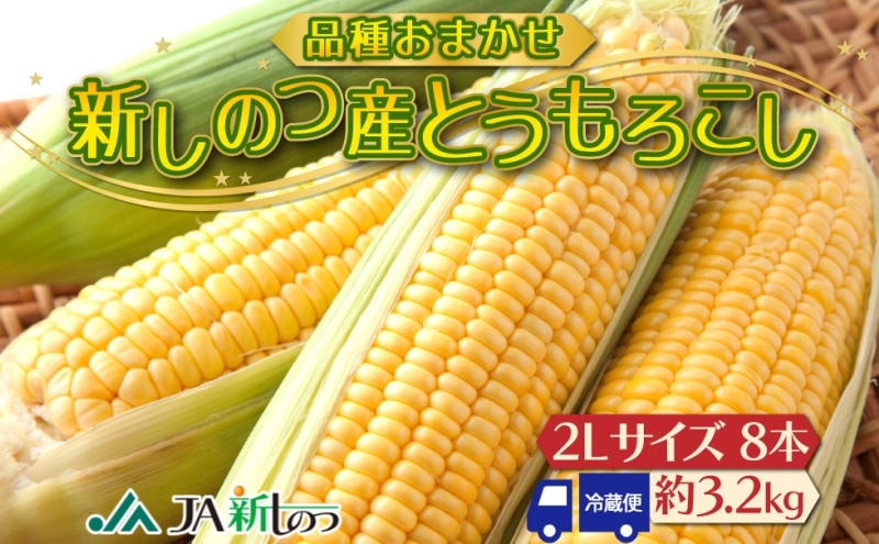 北海道 新しのつ産 とうもろこし 黄色 2L 8本 トウモロコシ とうきび