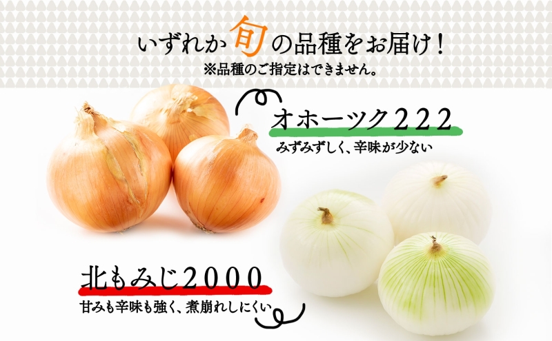 北海道新篠津村のふるさと納税 北海道 新しのつ産 玉ねぎ Lサイズ 約5kg オホーツク222 北もみじ2000 玉葱 たまねぎ タマネギ オニオン 旬 農作物 野菜 サラダ カレー 肉じゃが 長期保存 送料無料