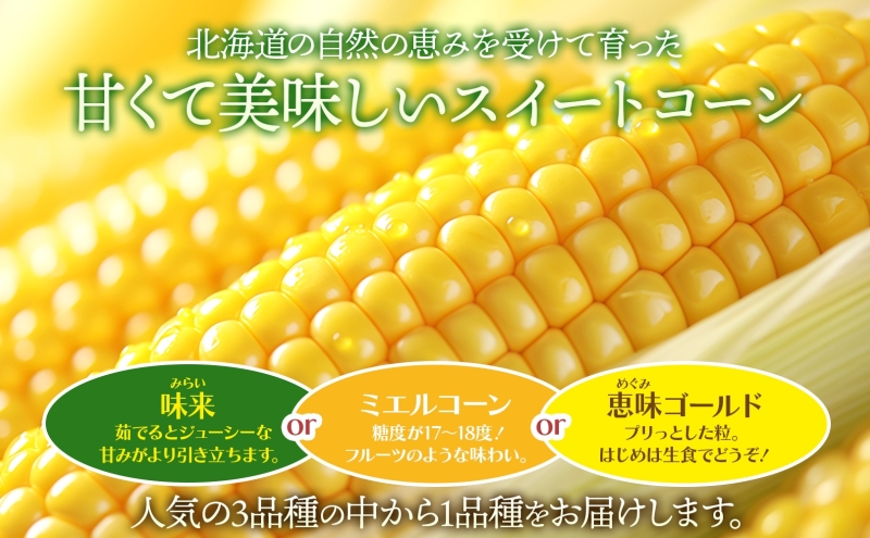 北海道 新しのつ産 とうもろこし 黄色 2L 8本 トウモロコシ とうきび