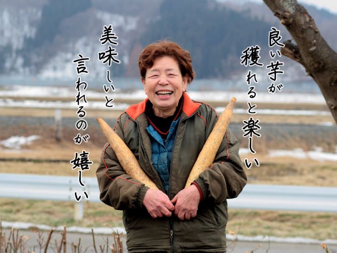 長谷川さんが作った長芋（約3kg） 野菜 根菜 やさい とろろ ながいも 芋 いも 青森県 鰺ヶ沢町