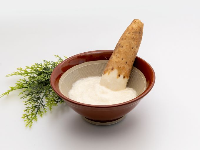 長谷川さんが作った長芋（約3kg） 野菜 根菜 やさい とろろ ながいも 芋 いも 青森県 鰺ヶ沢町