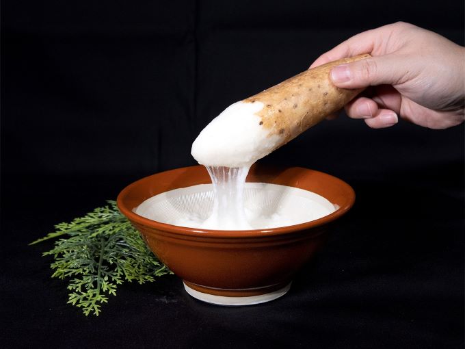 長谷川さんが作った長芋（約5kg） 野菜 根菜 やさい とろろ ながいも 芋 いも 青森県 鰺ヶ沢町