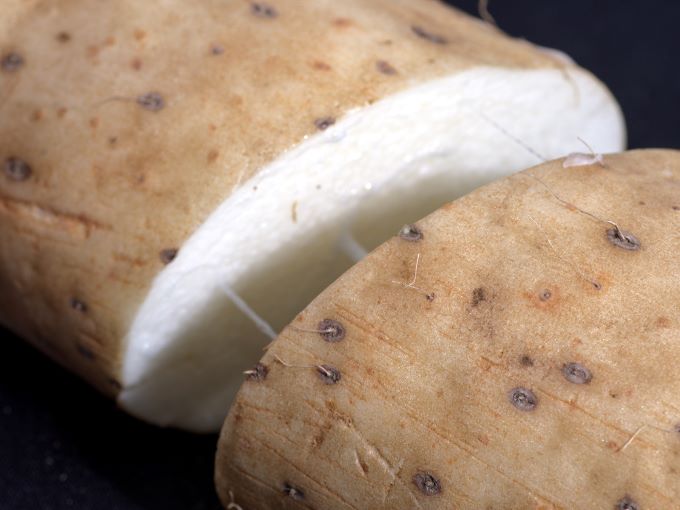 長谷川さんが作った長芋（約5kg） 野菜 根菜 やさい とろろ ながいも 芋 いも 青森県 鰺ヶ沢町