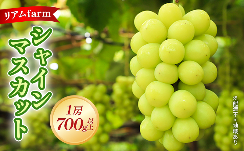 【岡山県里庄町】【2026年先行予約】 ぶどう 岡山県産 シャインマスカット 1房(700g以上) 《2026年7月下旬-8月下旬頃出荷》 葡萄 ブドウ フルーツ 果物 スイーツ 数量限定 期間限定 里庄町 リアム farm