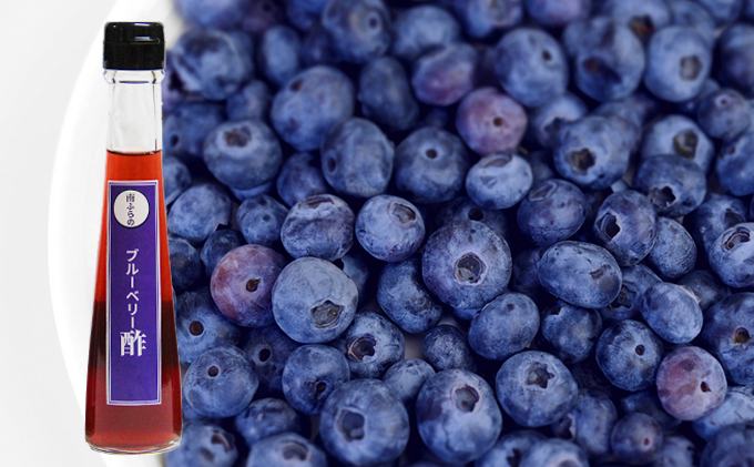 ブルーベリー酢 3本セット 北海道 南富良野町 ブルーベリー ベリー 酢 調味料 セット 詰合せ ドレッシング ソース たれ ブルーベリー酢 