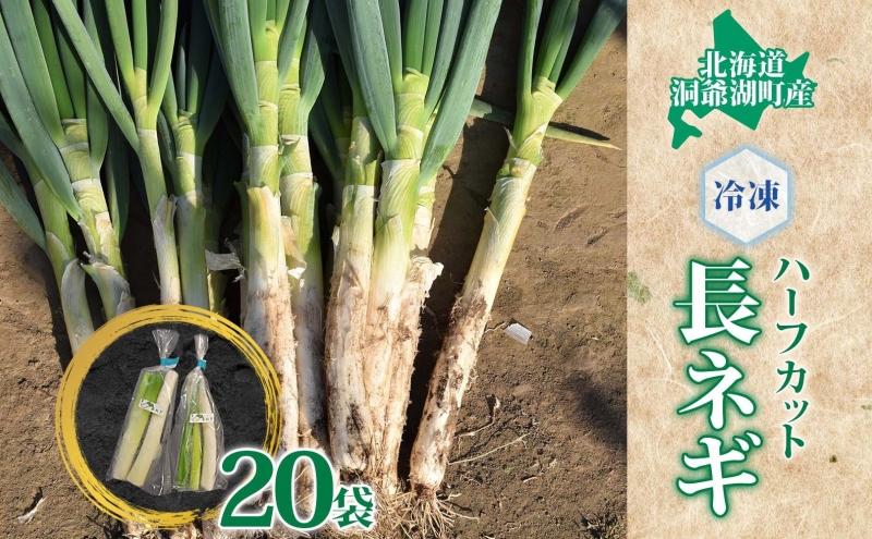 役に立ちます 冷凍カット野菜 長ねぎ1/2分×20袋 長ネギ 料理 小分け 便利 野菜 