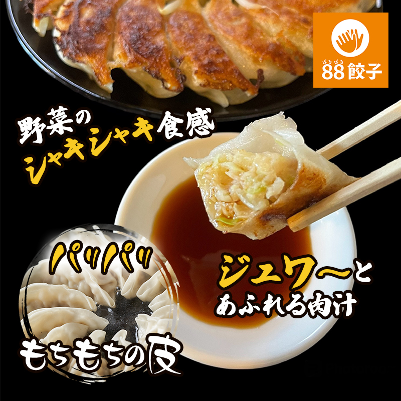静岡県浜松市のふるさと納税 餃子 浜松 88ぱちぱち餃子 40個 (にんにくあり20個 にんにくなし 20個) セット 浜松餃子 詰め合わせ 国産 冷凍餃子 お試し 食べ比べ 惣菜 おかず 点心 中華 ご当地 ご当地グルメ ニンニク不使用 ギョーザ 冷凍 静岡県浜松市 浜松市 配送不可：離島