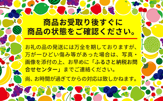 北海道 仁木町産 7月旬 さくらんぼ 1kg（500g×2） サクランボ チェリー フルーツ 果物 果物類  仁木町 仁木 [JA新おたる]