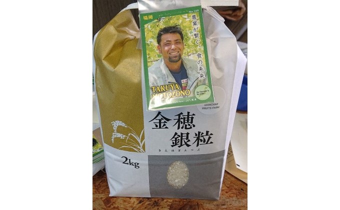 果樹園なのに米もあるよ ヌカ切れ抜群！令和7年度産《金穂銀粒（きんほぎんつぶ）》福岡県 あさくら産 ひのひかり 2kg お米 