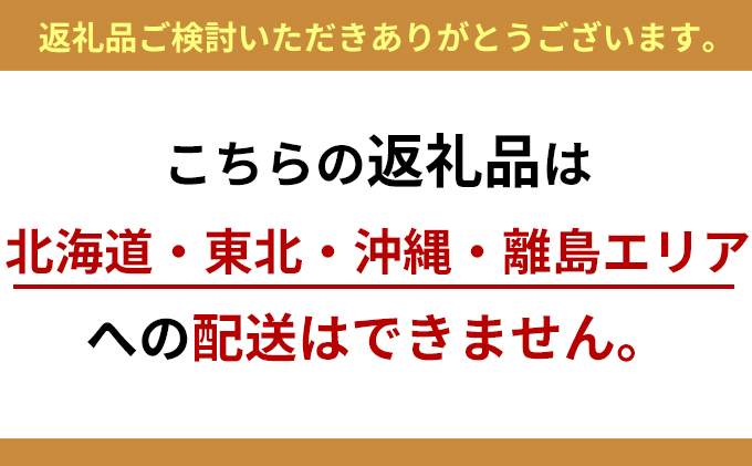 幸せが飛んでくる胡蝶蘭ミディ二本立ち【配送不可：北海道、東北、沖縄、離島】 植物 