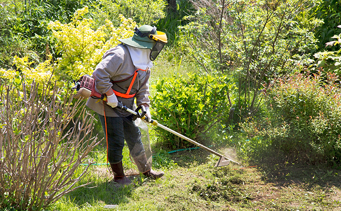 【要事前連絡】「お庭の草刈り（50平方メートル）」サービス＜愛知県日進市内限定＞ チケット 