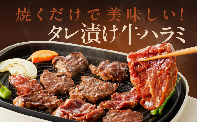大阪府泉佐野市のふるさと納税 【10/1～寄附額改定】牛ハラミ肉 1.3kg（ハラミ 300g×4P+牛すじ 100g）【1位獲得 秘伝の赤タレ 泉州元気ハラミ 牛肉 はらみ 小分け 焼肉 お弁当 BBQ 訳あり ワケアリ わけあり サイズ不揃い 規格外 TVで話題】 099H3157-1