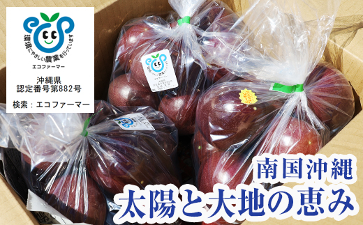 沖縄県南風原町のふるさと納税 【2026年発送】パッションフルーツ3kg　家庭用