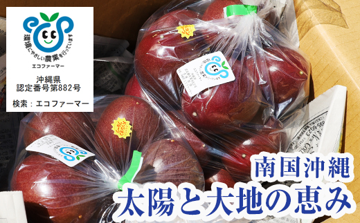 沖縄県南風原町のふるさと納税 【2026年発送】パッションフルーツ2kg　家庭用