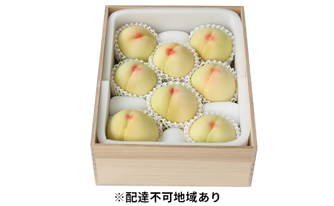 yR˓sz 2026N s\ RY  2.0kg 7`8 ˔  R Y t[c ʕ Mtg Ύ  2kg