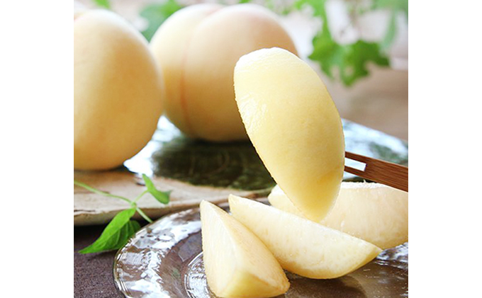 桃 2026年 先行予約 岡山特産 清水白桃 約1.5kg 5玉 桐箱入りもも モモ 岡山 国産 フルーツ 果物 ギフト 桃茂実苑  