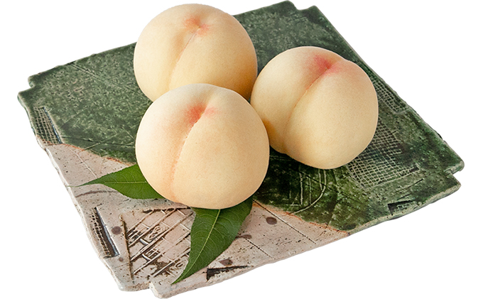 桃 2026年 先行予約 岡山特産 清水白桃 約1.5kg 5玉 桐箱入りもも モモ 岡山 国産 フルーツ 果物 ギフト 桃茂実苑  