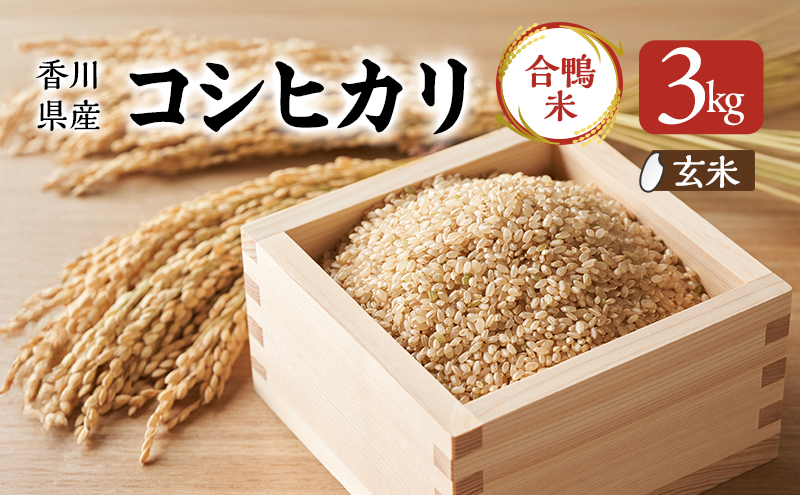【香川県東かがわ市】香川県産コシヒカリ(自然農法 合鴨米 3kg)玄米 お米