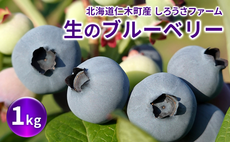[先行受付] 北海道 仁木町産 有機栽培ブルーベリー1kg サイズ混合 果物 くだもの フルーツ ブルーベリー[しろうさファーム]