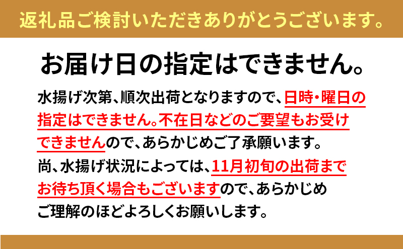 北海道 無添加塩水 ウニ 100g 2パック 1月下旬頃～3月中旬頃まで順次出荷 バフン ムラサキ うに 雲丹 海鮮 小川商店 