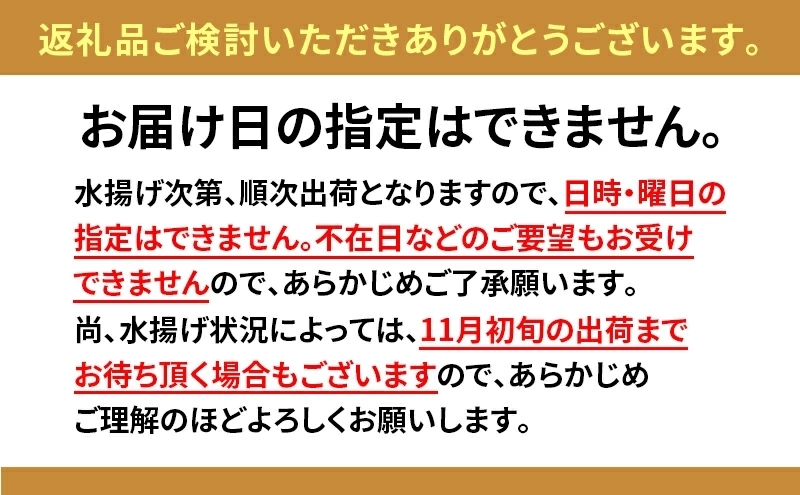 北海道 塩水 ウニ 100g 3パック 1月下旬頃～3月末頃まで順次出荷 バフン ムラサキ うに 雲丹 海鮮 ミョウバン不使用 小川商店