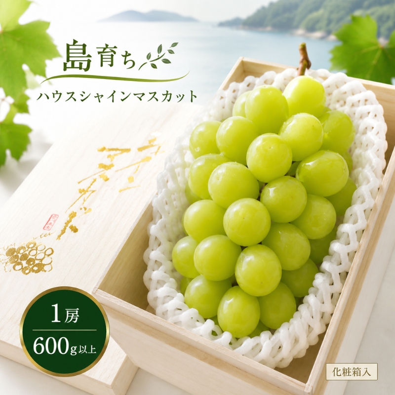 小豆島 】島育ち！ハウスシャインマスカット 1房化粧箱入り 600g以上