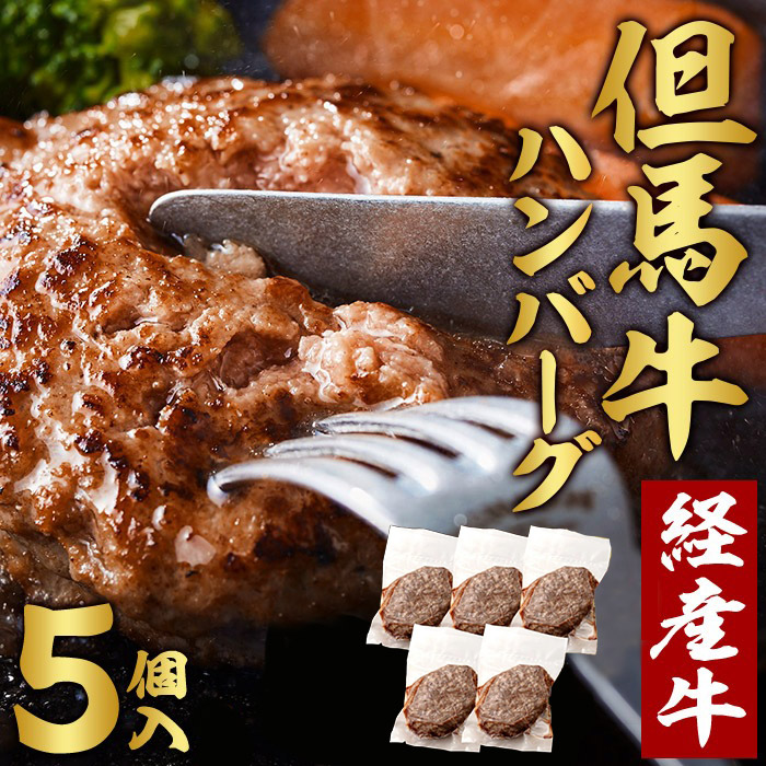 但馬牛経産牛ハンバーグ(150g×5個)010AA09N./個包装 牛肉 黒毛和牛 100% 国産 経産牛 和牛 赤身 味付け ほくぶ バーベキュー bbq キャンプ アウトドア 焼肉 小分け 簡単調理 セット 詰め合わせ 詰合せ 冷凍 お弁当 おかず