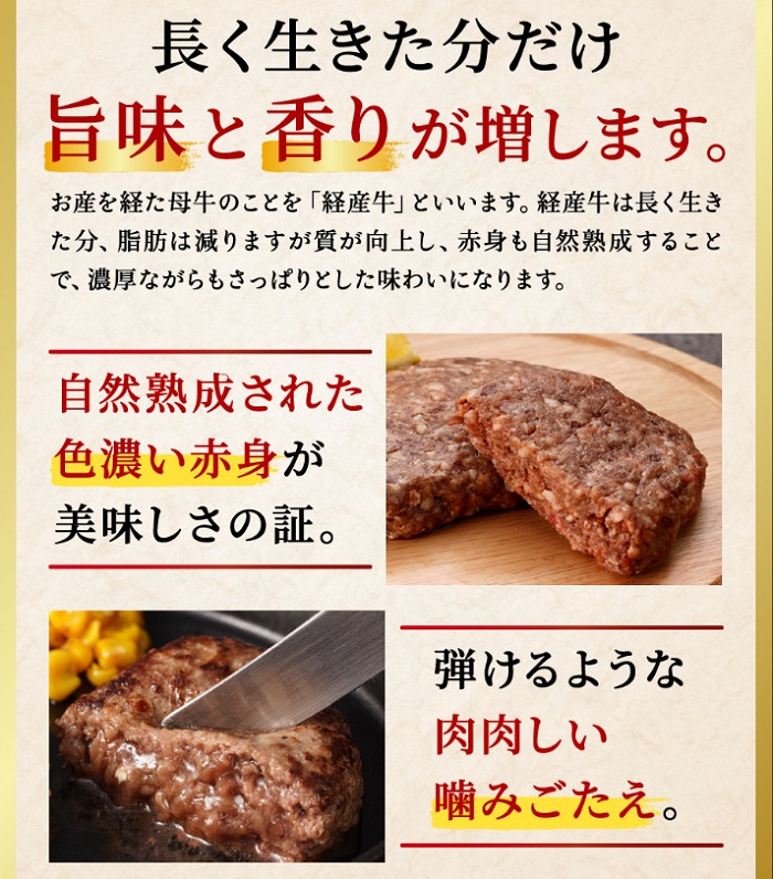 兵庫県市川町のふるさと納税 但馬牛経産牛ハンバーグ（150g×5個）010AA09N.／個包装 牛肉 黒毛和牛 100% 国産 経産牛 和牛 赤身 味付け ほくぶ バーベキュー bbq キャンプ アウトドア 焼肉 小分け 簡単調理 セット 詰め合わせ 詰合せ 冷凍 お弁当 おかず