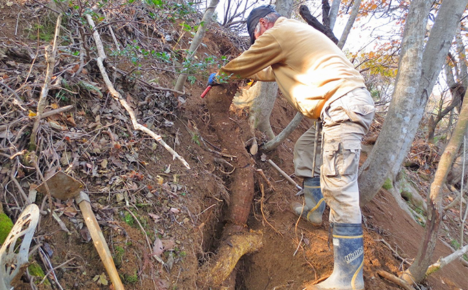 若狭町産の熊川葛(本葛) 和菓子 スイーツ くず粉 クズ 
