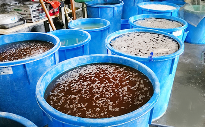 若狭町産の熊川葛(本葛) 和菓子 スイーツ くず粉 クズ 