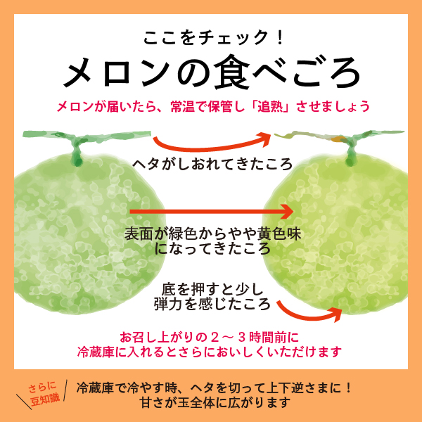 2026年夏発送 メロン 北海道 ふらの 赤肉 メロン 4～5玉（計8kg） JAふらの 厳選 産地直送 赤肉 富良野メロン フルーツ 果物 果実 旬 旬のくだもの デザート おやつ ギフト プレゼント 贈答 贈答用 贈答品 贈り物 富良野