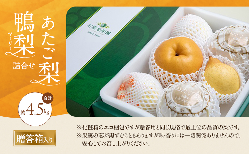 梨 2026年 先行予約 あたご梨・鴨梨（ヤーリー）詰合せ 合計約4.5kg あたご2～3玉 鴨梨3～7玉 贈答箱【11月下旬～12月中旬頃発送】 ナシ なし 岡山県産 国産 フルーツ 果物 ギフト 石原果樹園 