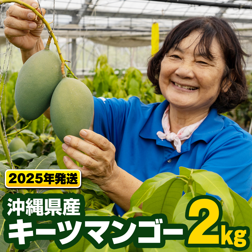 【2025年発送】沖縄県産キーツマンゴー2