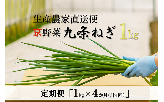 【京都府宇治田原町】【4か月定期便】生産農家直送 京野菜・九条ねぎ1kg〈定期便 ねぎ ネギ 葱 九条ねぎ 京野菜 京都 新鮮 甘い 農家直送 野菜〉 4ヶ月 4回
